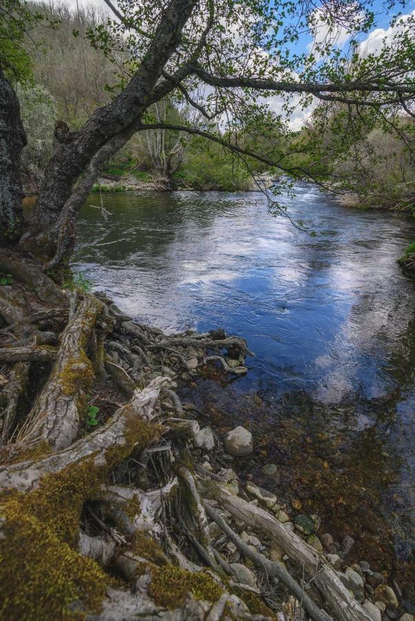 Aguas Frias Iii * La Omanuela